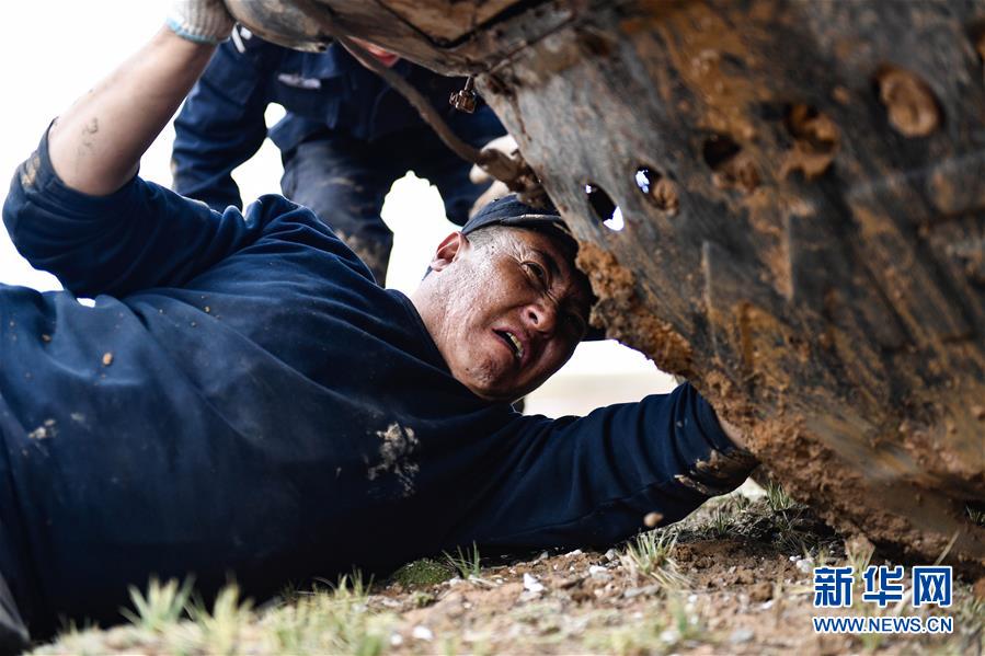 （圖文互動）（1）記者手記：可可西里，“挪”向“藏羚羊大產房”的14個半小時