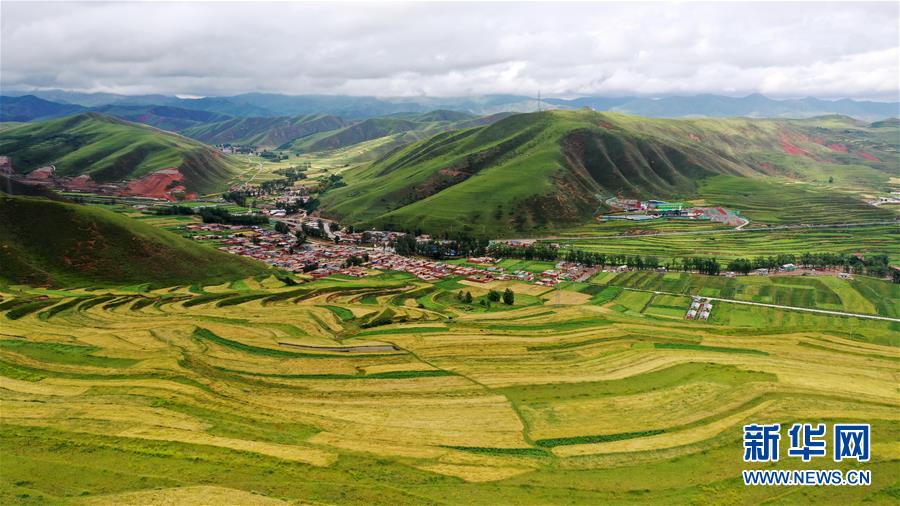 (走向我們的小康生活)(11)飛閱九色甘南香巴拉