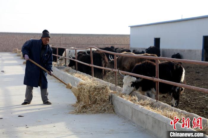 柴達(dá)木盆地蓮湖村：讓致富村民生活“?！逼饋?/></a></div>
                        <div   id=
