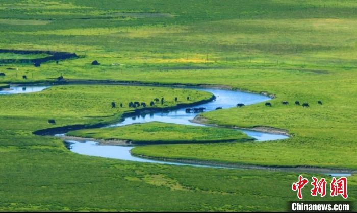 “黃河蓄水池”甘肅甘南重生態(tài):多措持續(xù)“環(huán)境革命”