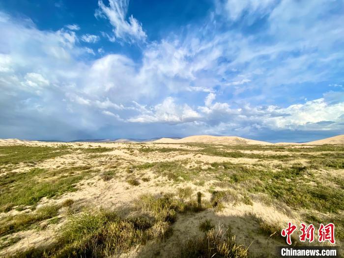 圖為關停四年后的沙島景區(qū)現(xiàn)狀?！±罱瓕?攝