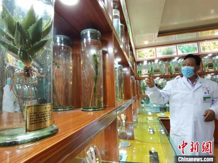 甘肅省甘南藏族自治州碌曲縣藏醫(yī)院副院長看照加近30年的從醫(yī)工作，堅持中藏醫(yī)特色優(yōu)勢相結(jié)合診療方法?！堟?攝