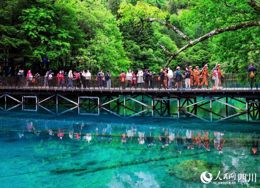 在景區(qū)內(nèi)開展森林防火宣傳和攜裝巡護。程雪力攝