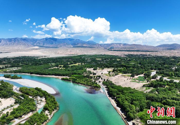 航拍貴德縣黃河岸畔綠意盎然。　馬銘言 攝