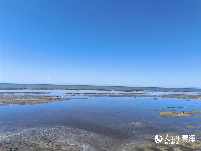   青海湖仙女灣。人民網(wǎng) 張莉萍攝