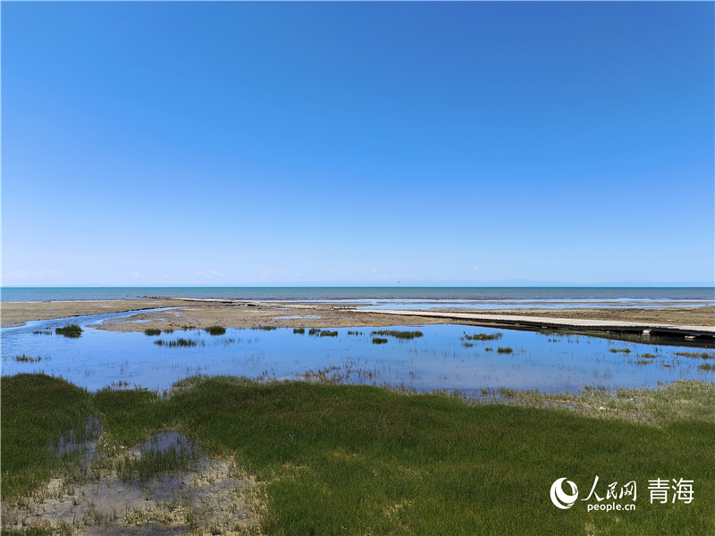   青海湖仙女灣。人民網(wǎng) 張莉萍攝