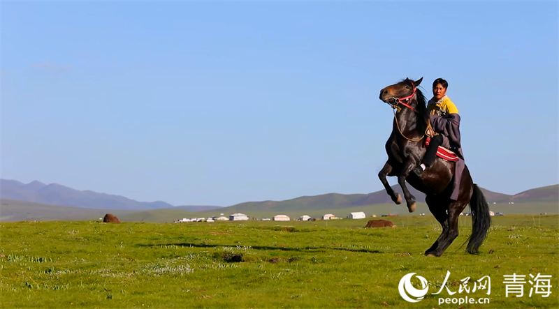 貴南草原。人民網(wǎng) 張皓芃攝