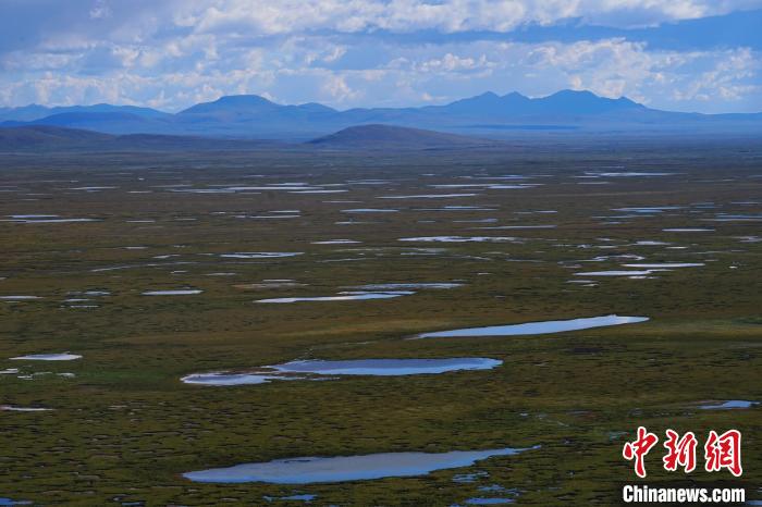 圖為查旦濕地。　馬銘言 攝