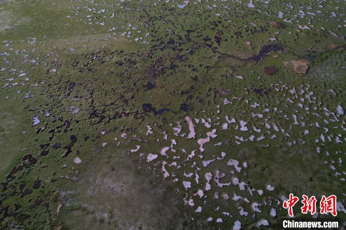 航拍查旦濕地?！●R銘言 攝