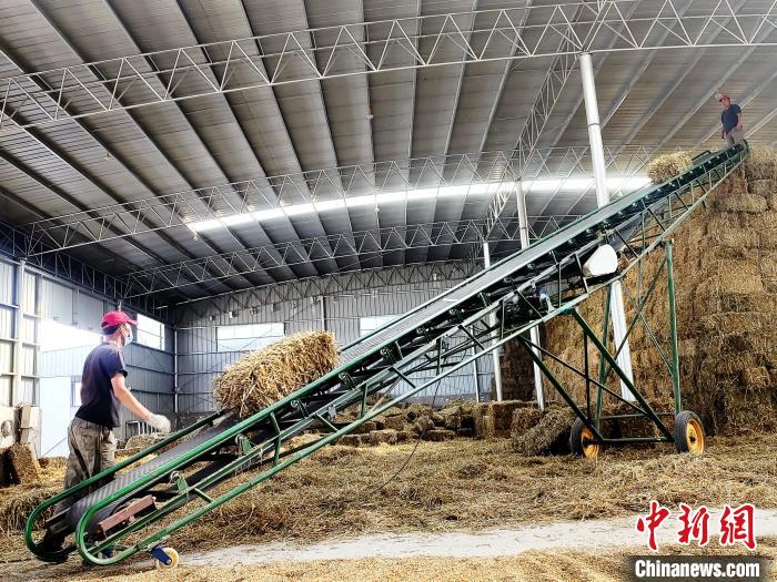 圖為飼草打捆、儲存?！●R芝芬 攝