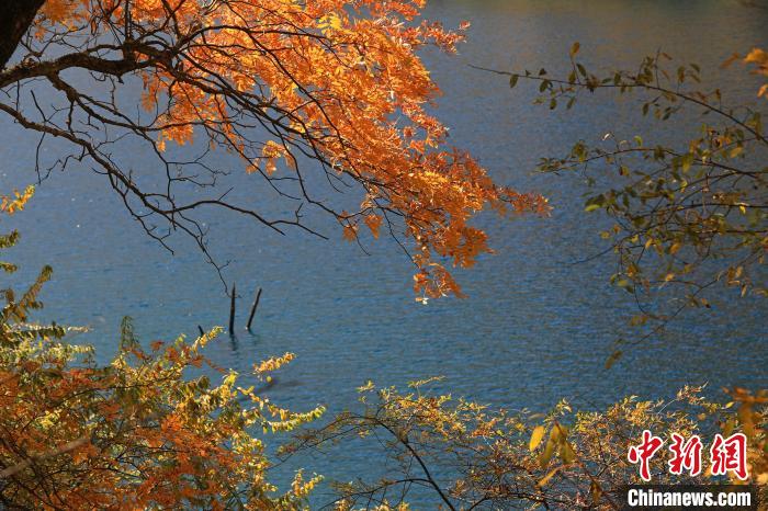 松坪溝風光?！⑼?攝