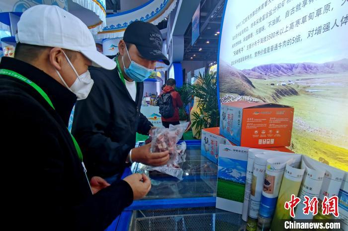 圖為青海參展商整理牛羊肉。　李雋 攝