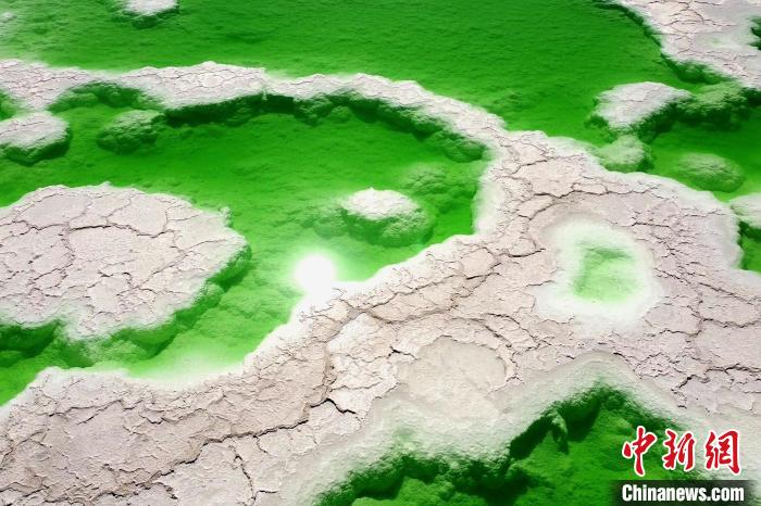 青?！拔鞔箝T(mén)”茫崖多舉措蓄能鹽湖產(chǎn)業(yè)發(fā)展