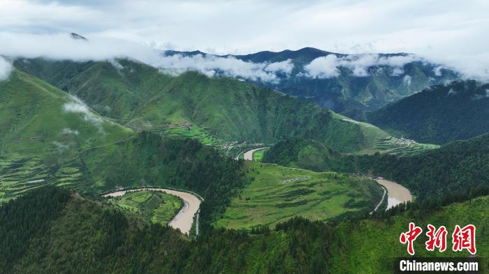 資料圖為果洛州境內(nèi)瑪可河國家森林公園?！●R銘言 攝