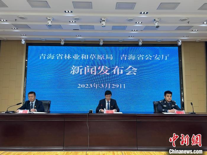 青海去年占用林地、草地準予許可件同比實現(xiàn)“雙減”