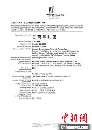 圖為“甘南羊肚菌”國際商標注冊證書。(資料圖) 甘南州市場監(jiān)管局供圖