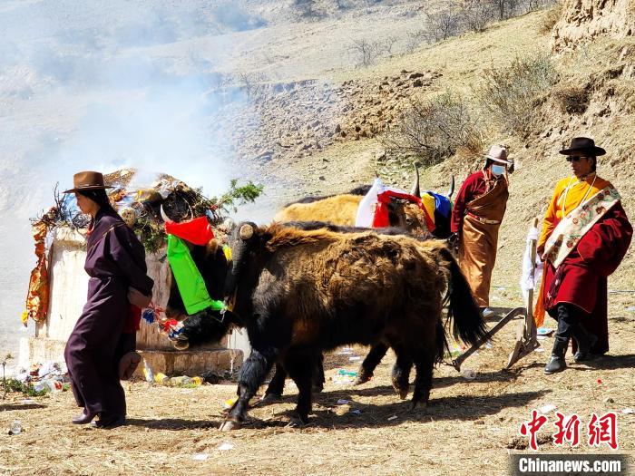 圖為春耕儀式現(xiàn)場。　王麗山 供圖