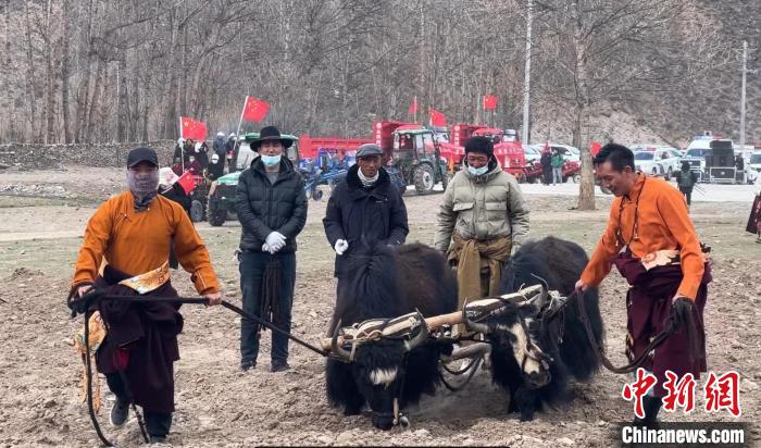 圖為活動(dòng)現(xiàn)場(chǎng)當(dāng)?shù)厝罕娬故緜鹘y(tǒng)春耕方式?！±罱瓕?攝