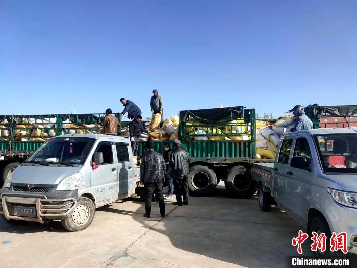 圖為合作社正在拉運化肥。(資料圖) 張海蓮 攝