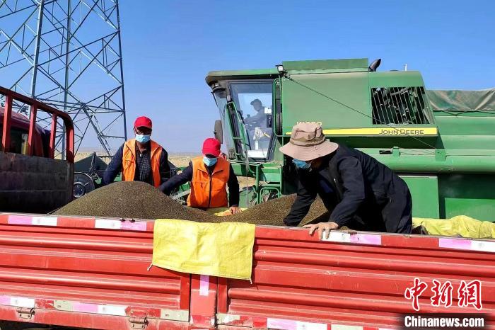 圖為合作社工作人員準(zhǔn)備播種。(資料圖) 張海蓮 攝