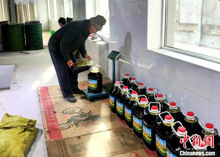 圖為高原油菜籽榨出的菜籽油?！埖么?攝