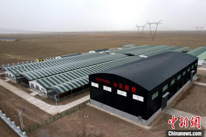 圖為航拍生態(tài)畜牧業(yè)集中規(guī)?；B(yǎng)殖基地。　蔡志睿 攝