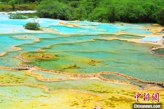 圖為黃龍景區(qū)?！“苍?攝
