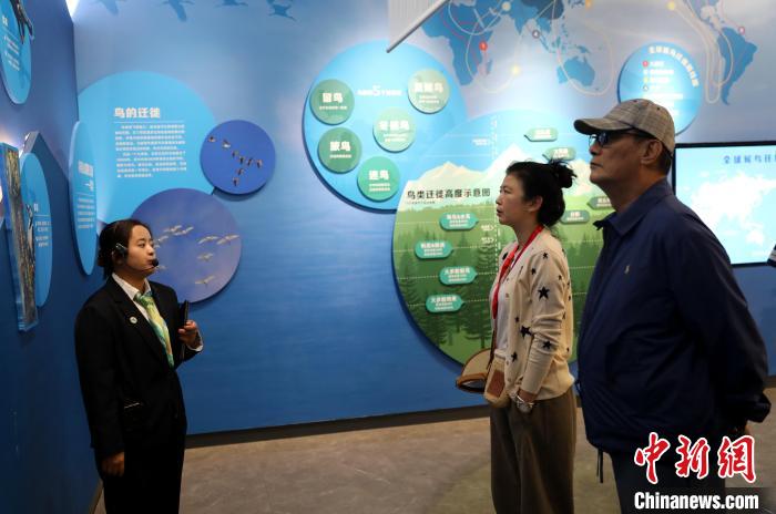 圖為臺商在祁連山國家公園生態(tài)科普館內(nèi)聆聽講解?！⊙Φ?攝