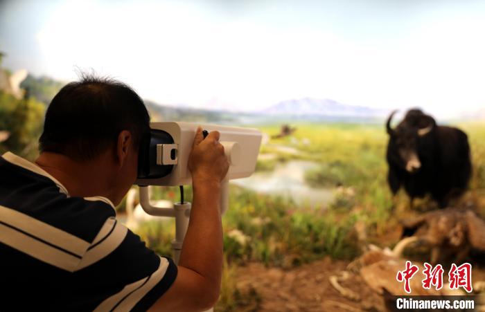 圖為臺商觀看祁連山國家公園生態(tài)科普館內(nèi)生態(tài)場景?！⊙Φ?攝