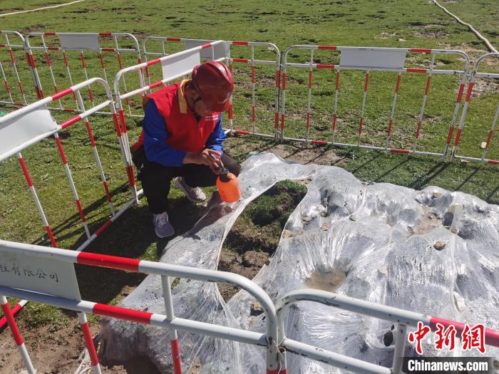 青海果洛直卻330千伏線路工程打造“綠色建造”新模式