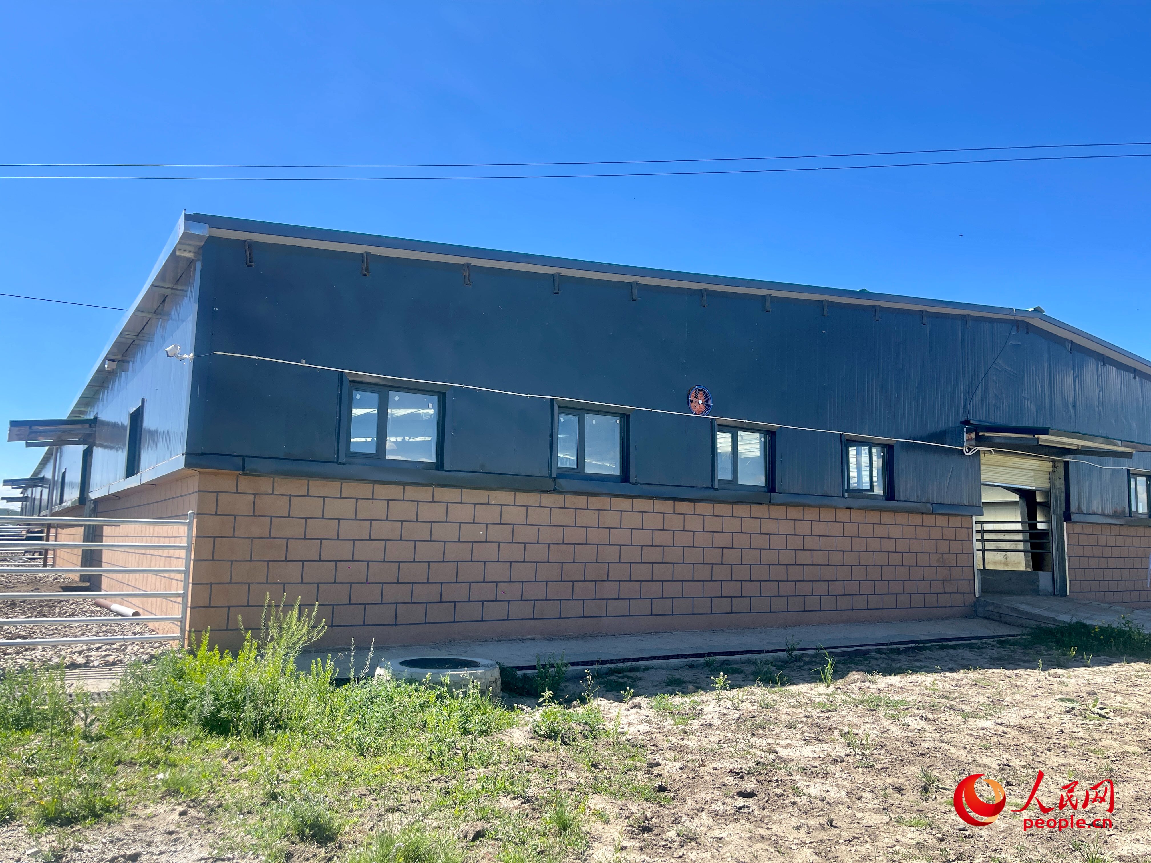 唐日合作社。人民網(wǎng) 周靜圓攝