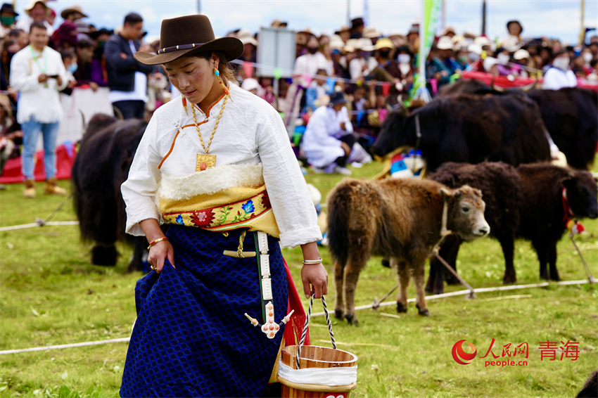 擠牦牛奶大賽。人民網(wǎng) 陳明菊攝