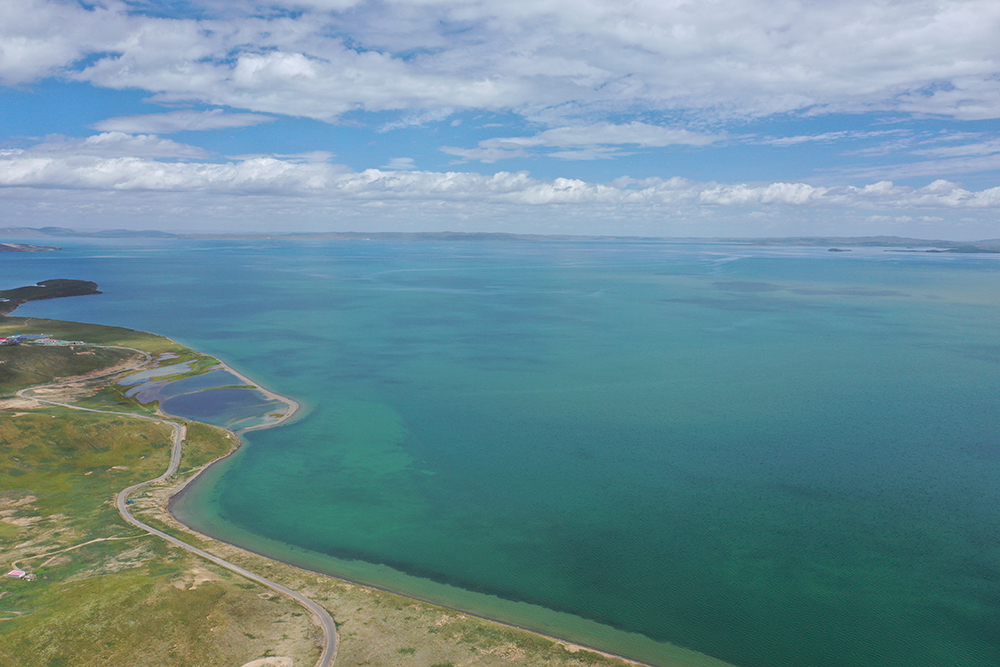 大自然的生態(tài)美學(xué)！黃河源園區(qū)哪一抹色彩最讓你心動？