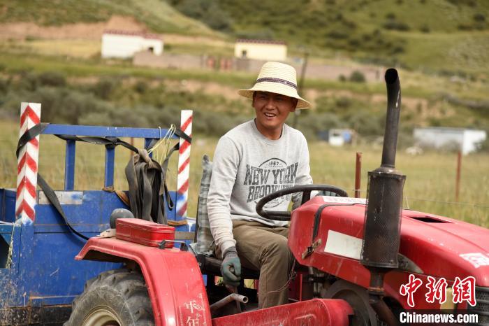 青海囊謙：喜迎秋收，又是一年“豐”景