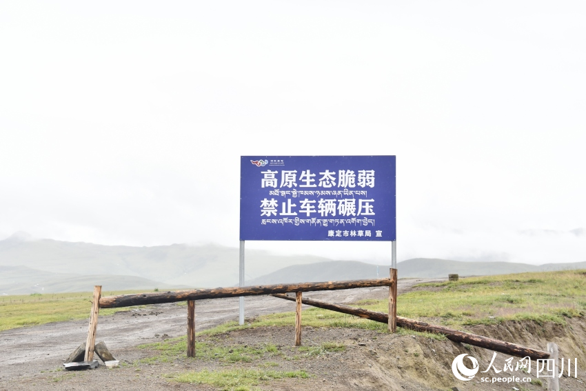 禁止車(chē)輛碾壓草原的提示牌。人民網(wǎng)記者 王洪江攝