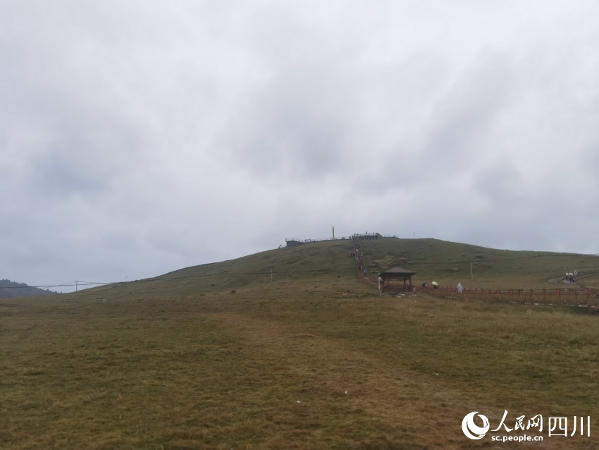 甘孜州塔公草原。人民網(wǎng)記者 王洪江攝
