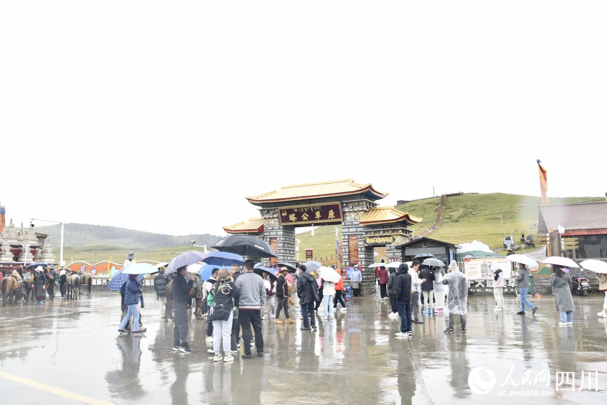 甘孜州塔公草原。人民網(wǎng)記者 王洪江攝