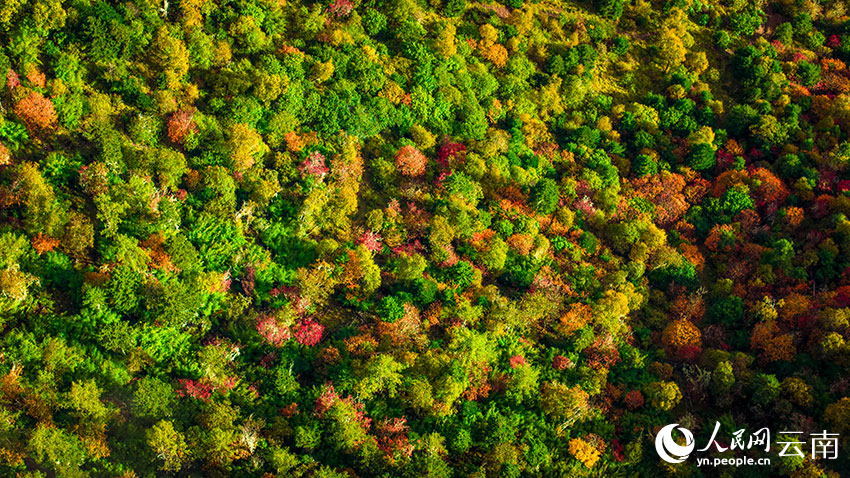 秋日普達(dá)措。格瑪攝