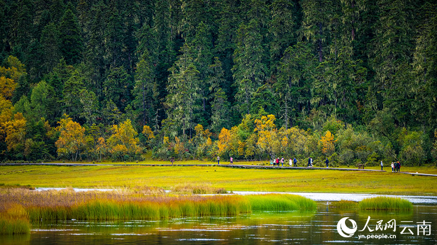 秋日普達(dá)措。格瑪攝