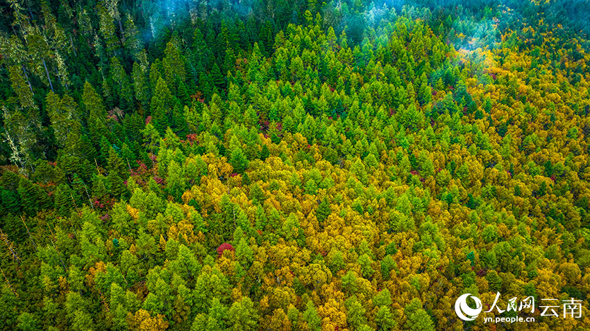 秋日普達(dá)措。格瑪攝