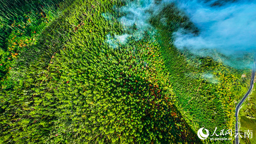 秋日普達(dá)措。格瑪攝