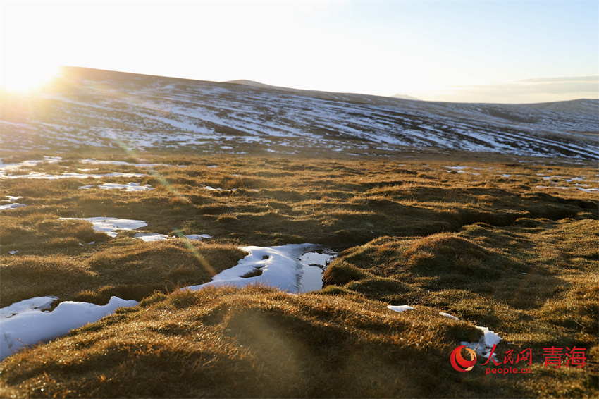黃河源頭落日余暉。人民網(wǎng) 陳明菊攝