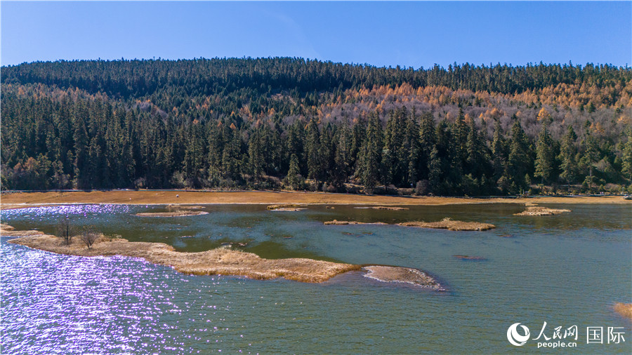 屬都湖畔，層林盡染。人民網(wǎng)記者 虎遵會(huì)攝