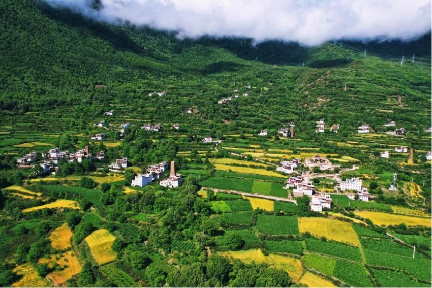 綠色丹巴。丹巴縣委宣傳部供圖