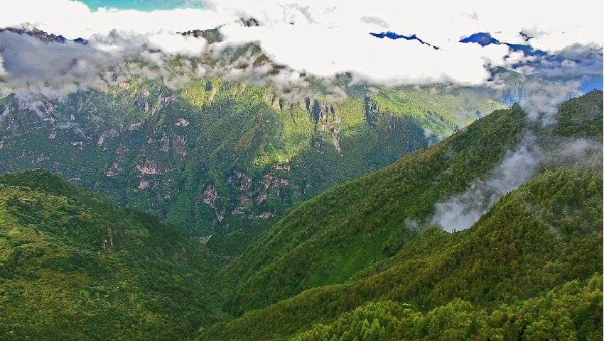 丹巴縣牦牛谷省級森林公園風(fēng)光。丹巴縣委宣傳部供圖