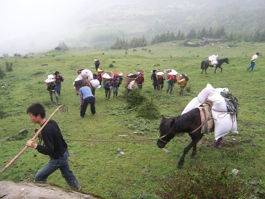 在黃河上游補播牧草。阿壩州委宣傳部供圖