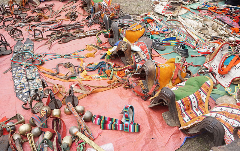 馬具展示。章紅梅攝