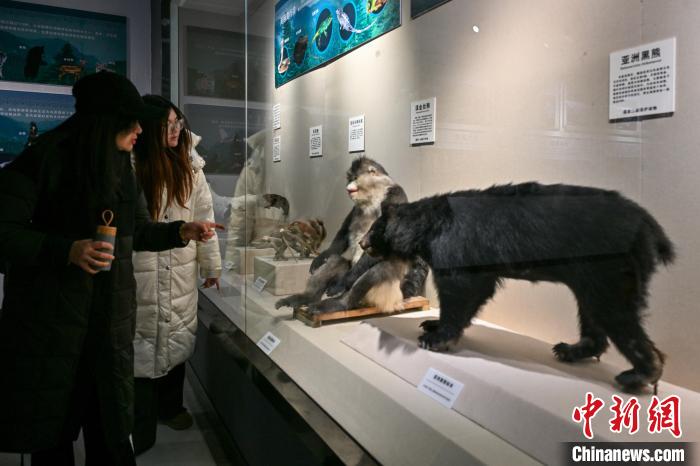 錯峰游迪慶：博物館成寶藏打卡地