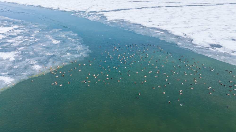 青海湖一角。宋忠勇攝