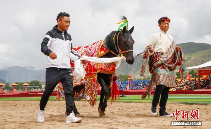 青海玉樹賽馬會：上演馬背上的“速度與激情”
